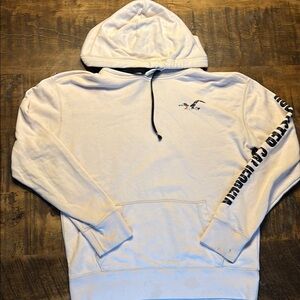 Hollister Hoodie with Graphic Design